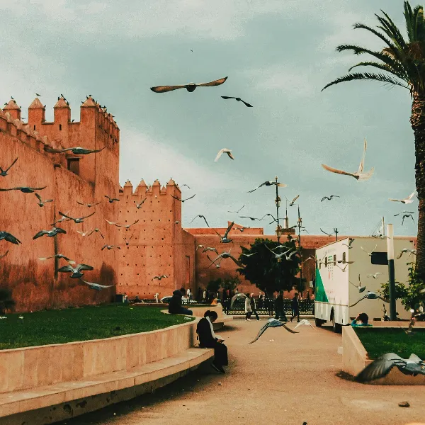 morocco travel guide